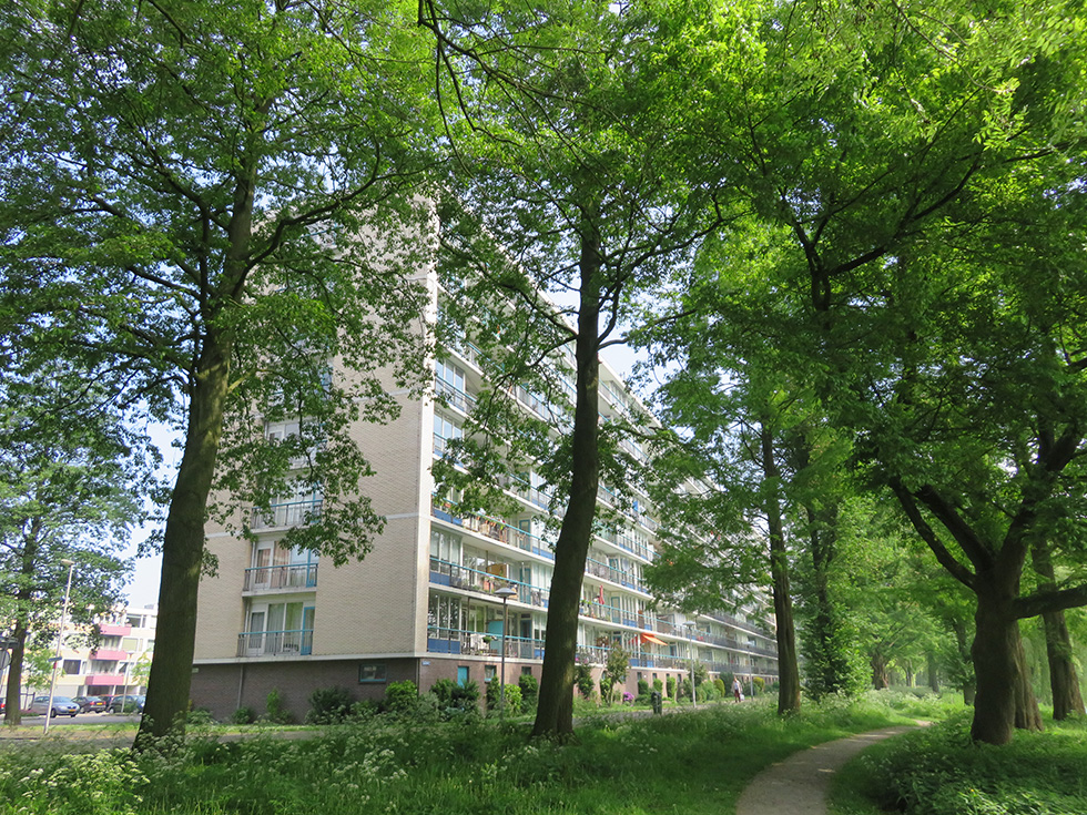 Rhodosdreef 36, 3562 TE Utrecht